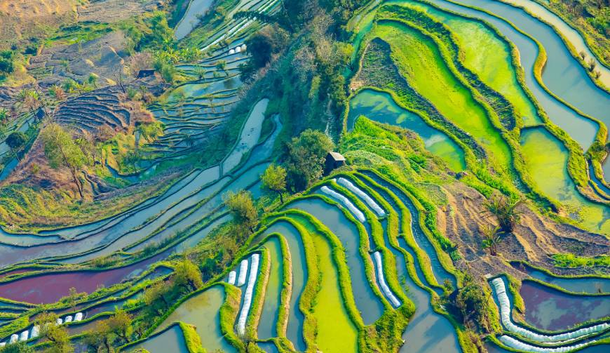 宝妈必备神器：大渡口区产品视频拍摄轻松育儿好帮手