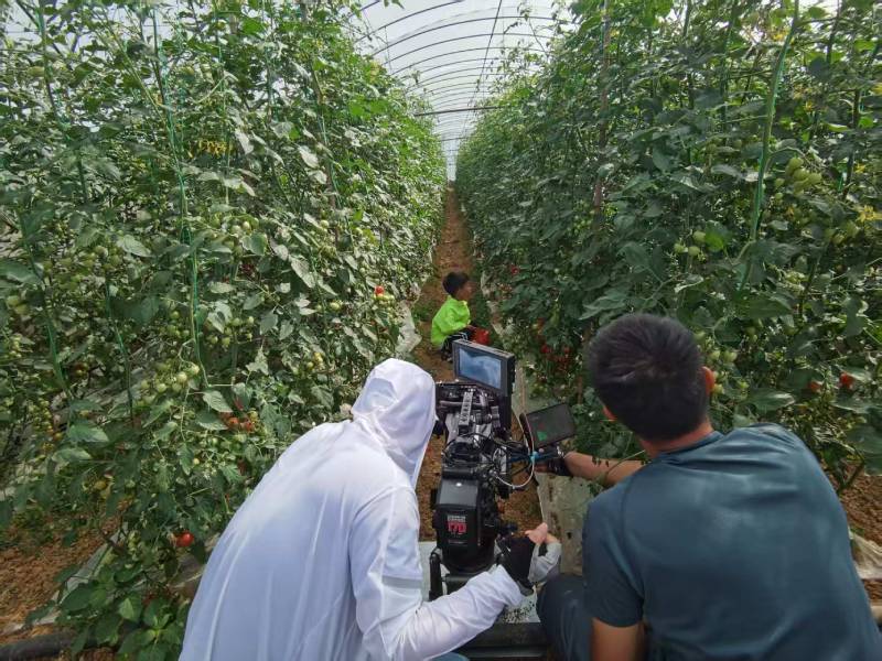 大渡口区产品宣传视频拍摄公司进阶指南，助力品牌抢占传播高地